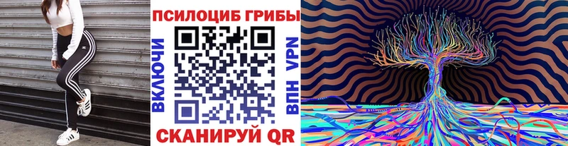 хочу   Куровское  Галлюциногенные грибы прущие грибы 